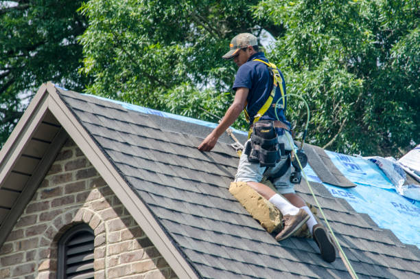 Best Roof Gutter Cleaning  in Cashion, OK